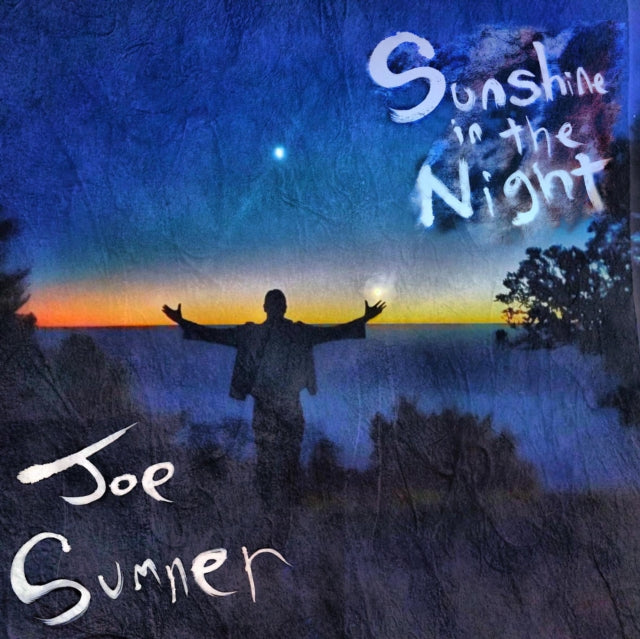 SUMNER, JOE | SUNSHINE IN THE NIGHT | VINYL RECORD (LP)
