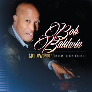 BALDWIN, BOB | MELLOWONDER- SONGS IN THE KEY OF STEVIE (2LP) | VINYL RECORD (LP)