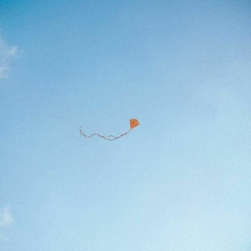 LOST. FOUND & FORGOTTEN… (3-12 INCH) | 12IN VINYL