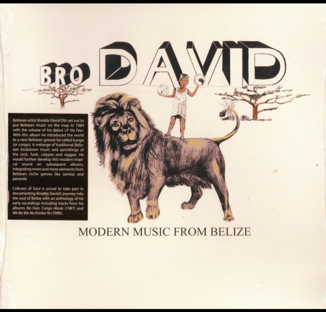 BRO DAVID | MODERN MUSIC FROM BELIZE | VINYL RECORD (LP)
