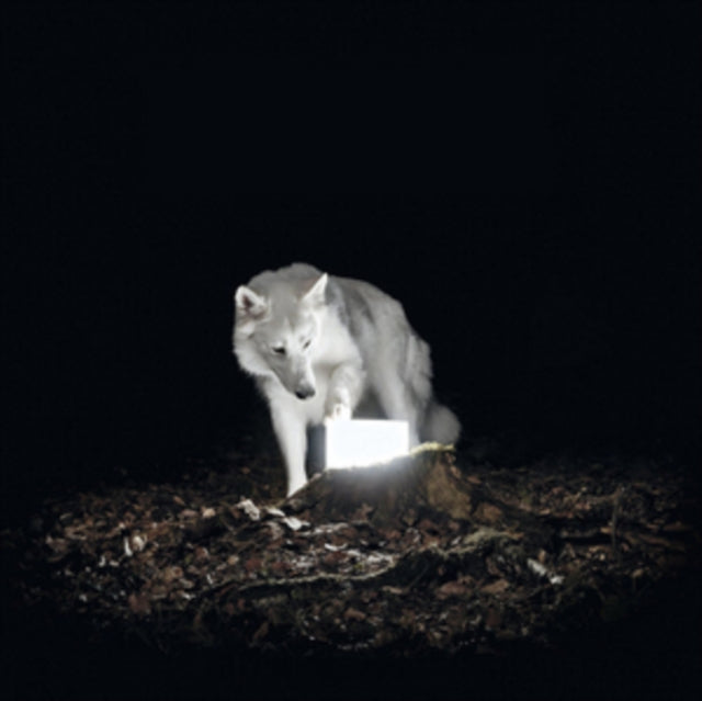 VANISHING LIFE | SURVEILLANCE | VINYL RECORD (LP)