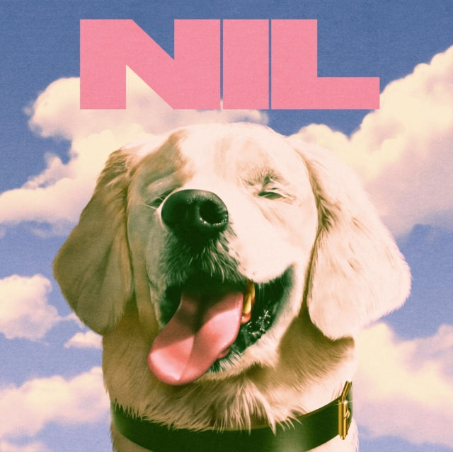 DIRTY NIL | FUCK ART | VINYL RECORD (LP)