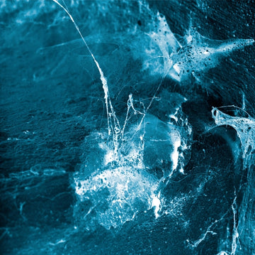 ARSTIDIR | HVEL | VINYL RECORD (LP)