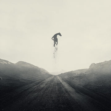 CRIPPLED BLACK PHOENIX | GREAT ESCAPE (LTD. ED/OPAQUE SILVER VINYL/2LP) | VINYL RECORD (LP)