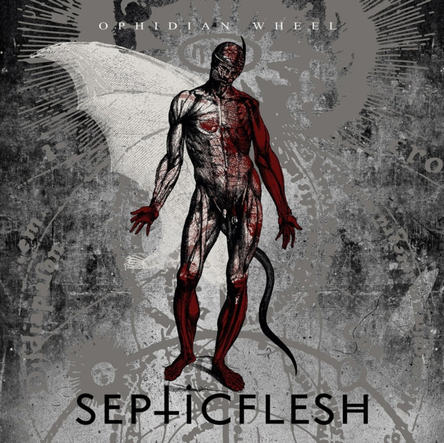 SEPTICFLESH | OPHIDIAN WHEEL (LTD/SILVER VINYL/GATEFOLD/2LP) | VINYL RECORD (LP)