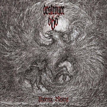 DESTROYER 666 | PHOENIX RISING | VINYL RECORD (LP)