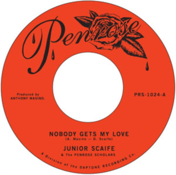 NOBODY GETS MY LOVE B/W TOO MUCH TOO SOON | 7IN VINYL