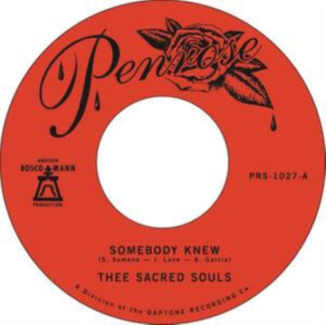 SOMEBODY KNEW B/W WE DON'T HAVE TO BE ALONE | 7IN VINYL