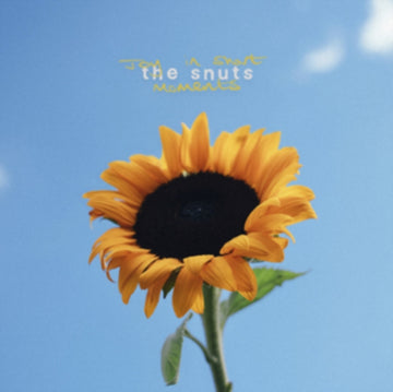 JOY IN SHORT MOMENTS | VINYL RECORD (LP)