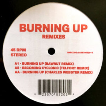 BURNING UP REMIXES (IMPORT) | 12IN VINYL