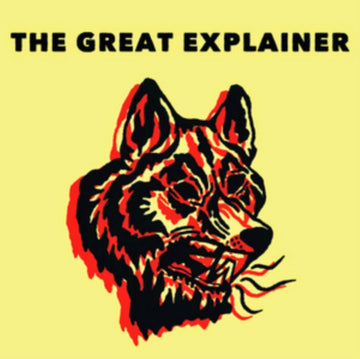 GREAT EXPLAINER | VINYL RECORD (LP)
