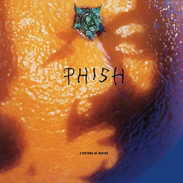 PICTURE OF NECTAR | VINYL RECORD (LP)