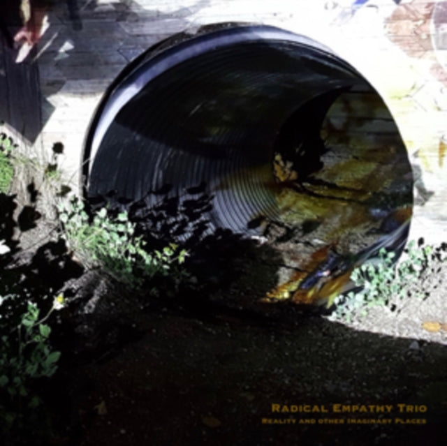 RADICAL EMPATHY TRIO | REALITY & OTHER IMAGINARY PLACES | VINYL RECORD (LP)