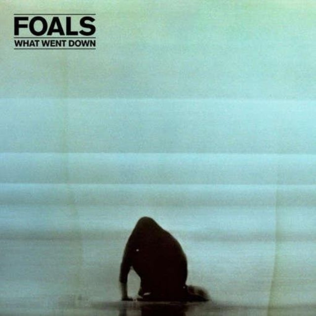 FOALS | WHAT WENT DOWN | VINYL RECORD (LP)