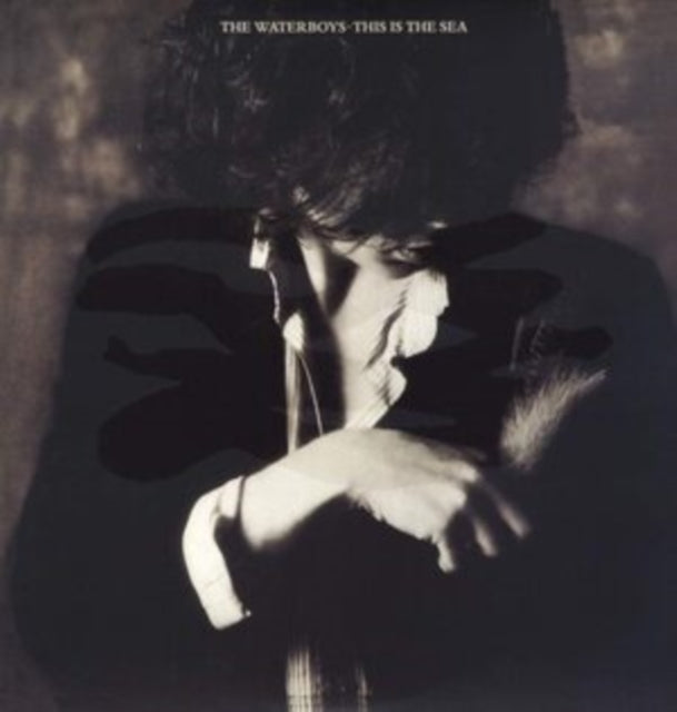 WATERBOYS | THIS IS THE SEA | VINYL RECORD (LP)