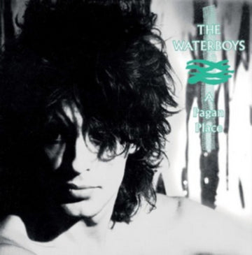 WATERBOYS | PAGAN PLACE | VINYL RECORD (LP)