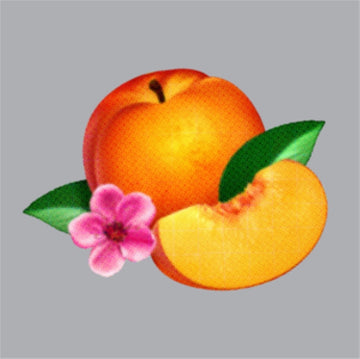 PHOENIX | BANKRUPT | VINYL RECORD (LP)
