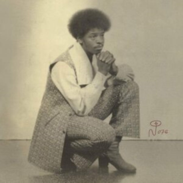 MCGEE, TOMMY | I'M A STRANGER | VINYL RECORD (LP)
