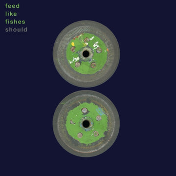 FEED LIKE FISHES (2LP) | VINYL RECORD (LP)
