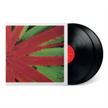THIS AFTERNOONS MALADY (2LP) | VINYL RECORD (LP)