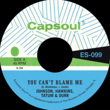 YOU CAN'T BLAME ME / YOU'RE ALL I NEED TO MAKE IT | 7IN VINYL