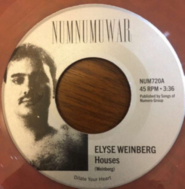WEINBERG, ELYSE & DINOSAUR JR. | HOUSES (MIXED COLOR 7INCH) | 7IN VINYL