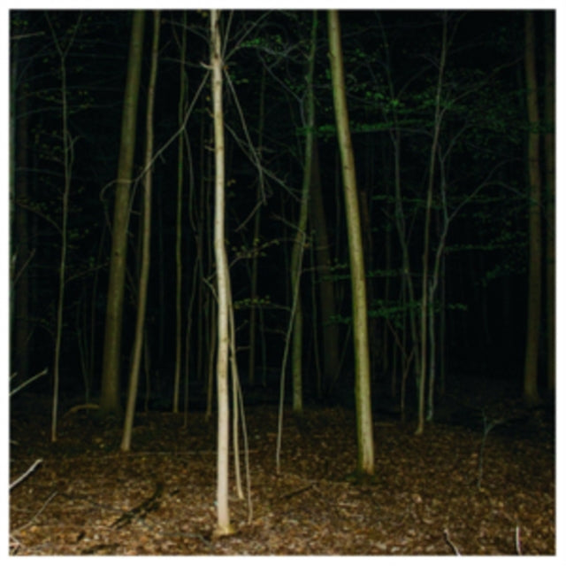 EXPRESS RISING | FIXED ROPE II | VINYL RECORD (LP)