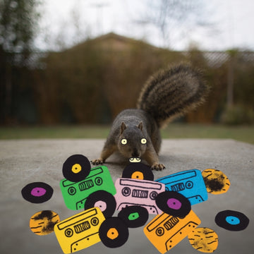 EVIDENCE | SQUIRREL TAPE INSTRUMENTALS VOL. 1 (RANDOM COLOR VINYL) | VINYL RECORD (LP)