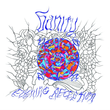 EVENING RECEPTION | VINYL RECORD (LP)