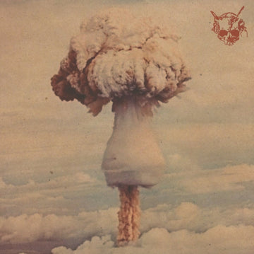 IN DUST WE TRUST | VINYL RECORD (LP)