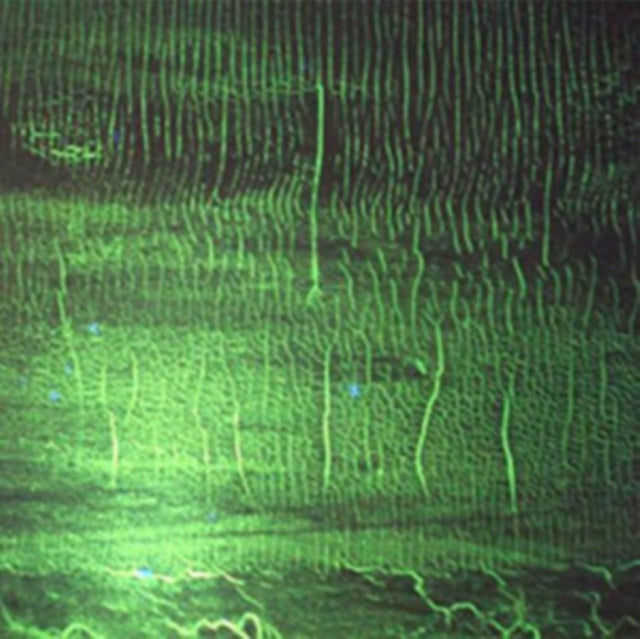 DOZZY, DONATO | K (2LP) | VINYL RECORD (LP)