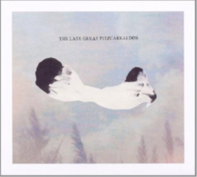 LATE GREAT FITZCARRALDOS | LATE GREAT FITZCARRALDOS | VINYL RECORD (LP)