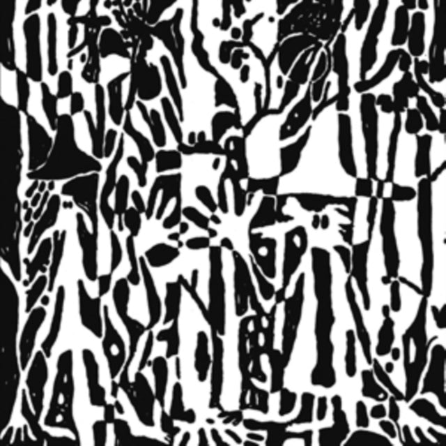 TANG, STEVEN | DISCONNECT TO CONNECT (2LP) | VINYL RECORD (LP)
