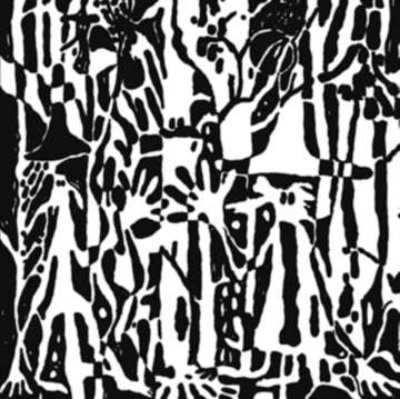 TANG, STEVEN | DISCONNECT TO CONNECT (2LP) | VINYL RECORD (LP)