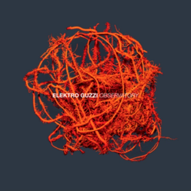 ELEKTRO GUZZI | OBSERVATORY (2LP) | VINYL RECORD (LP)