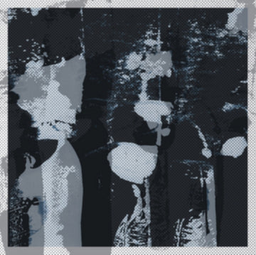 AND | COSMIC MICROWAVE BACKGROUND (2LP) | VINYL RECORD (LP)