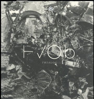 HVOB | TRIALOG (2LP) | VINYL RECORD (LP)