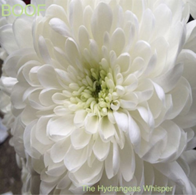 BOOF | HYDRANGEAS WHISPER (2LP) | VINYL RECORD (LP)