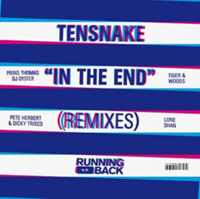 TENSNAKE | IN THE END (REMIXES) (2 X 12IN) | 12IN VINYL