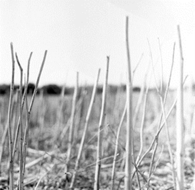 RECONDITE | ON ACID (2LP) | VINYL RECORD (LP)