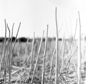 RECONDITE | ON ACID (2LP) | VINYL RECORD (LP)