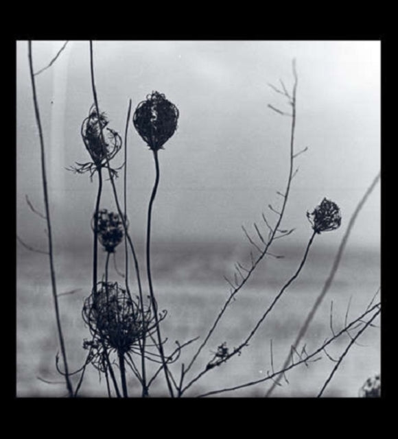 RECONDITE | PLACID | VINYL RECORD (LP)