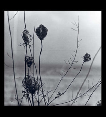 RECONDITE | PLACID | VINYL RECORD (LP)