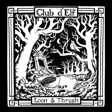 LOON & THRUSH (2LP) | VINYL RECORD (LP)
