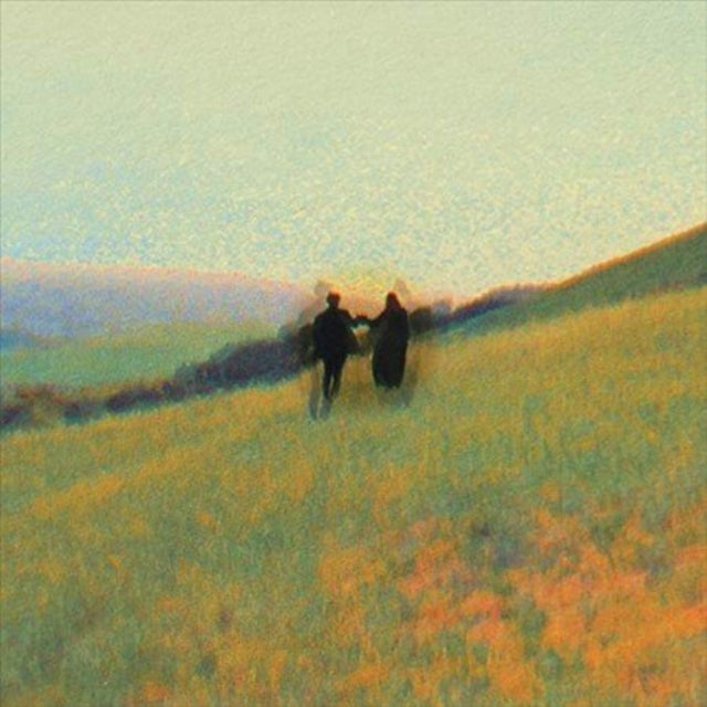 HAERTS | NEW COMPASSION (LP) | VINYL RECORD (LP)