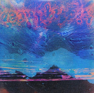 VISION'S THE FIRST / NAMER | 7IN VINYL