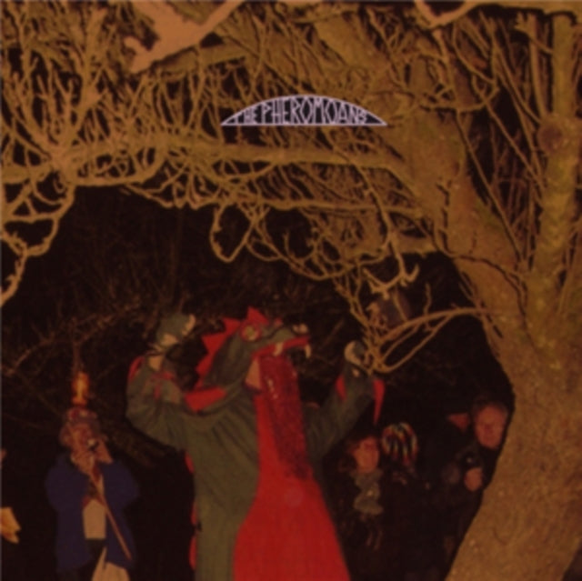 PHEROMOANS | DOES THIS GUY STACK UP | VINYL RECORD (LP)