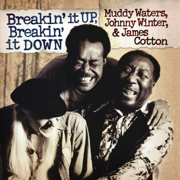 BREAKIN IT UP BREAKIN IT DOWN (2LP) (TRANSLUCENT GOLD VINYL/180G) | VINYL RECORD (LP)