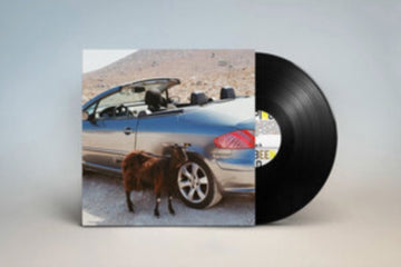 PROVE THE MOUNTAINS MOVE | VINYL RECORD (LP)