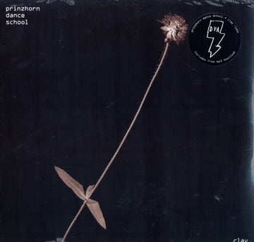 PRINZHORN DANCE SCHOOL | CLAY CLASS | VINYL RECORD (LP)